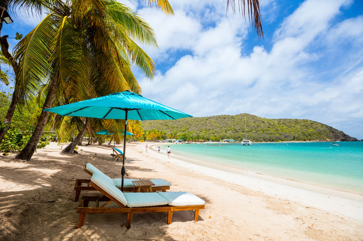 Caribbean Beach Landscape